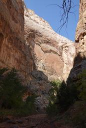 Tall walls [sat aug 30 10:26:26 mdt 2025]